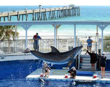 Local Events callout